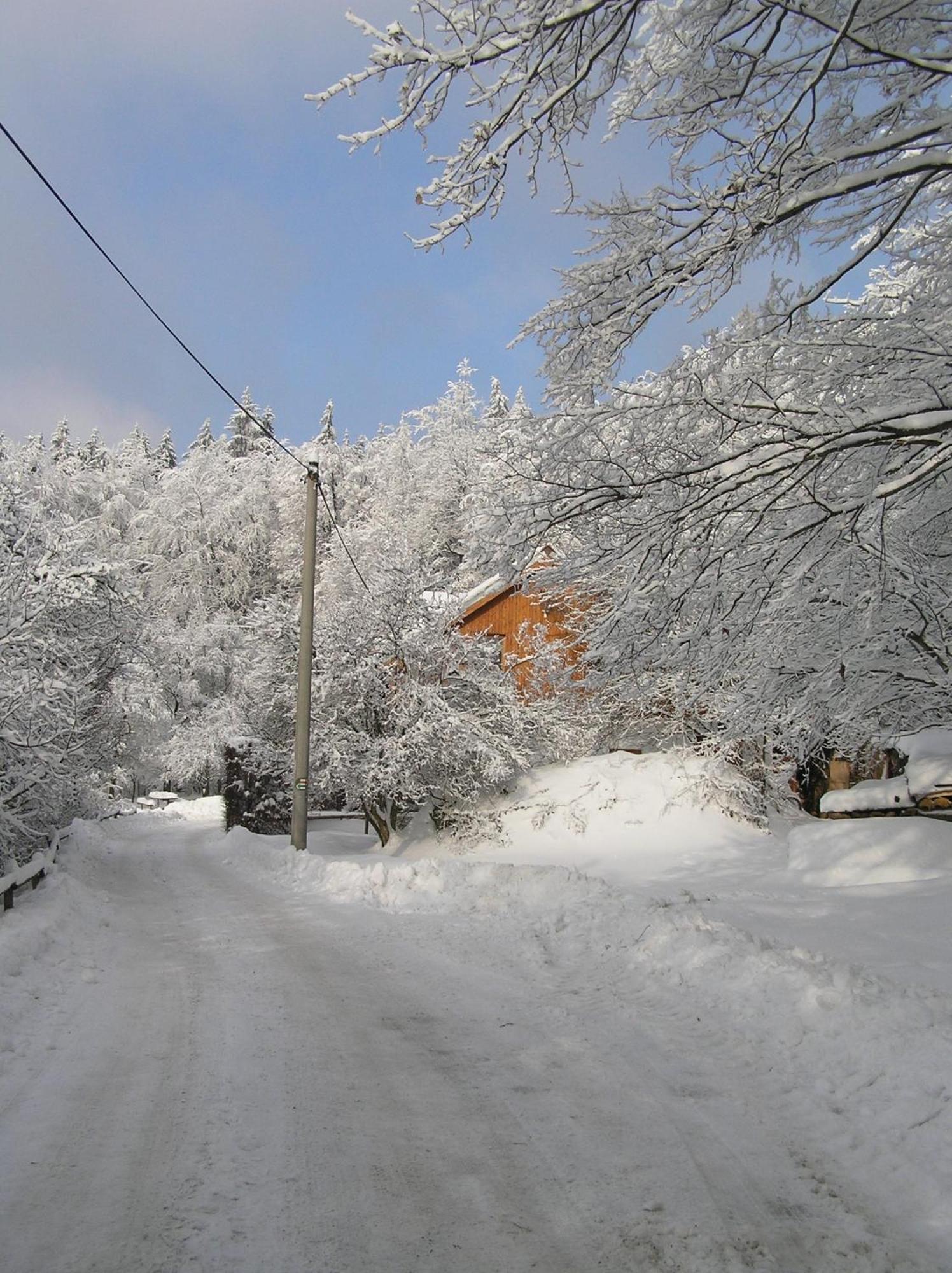 Penzion U Strakatého Koně Blansko Exterior foto