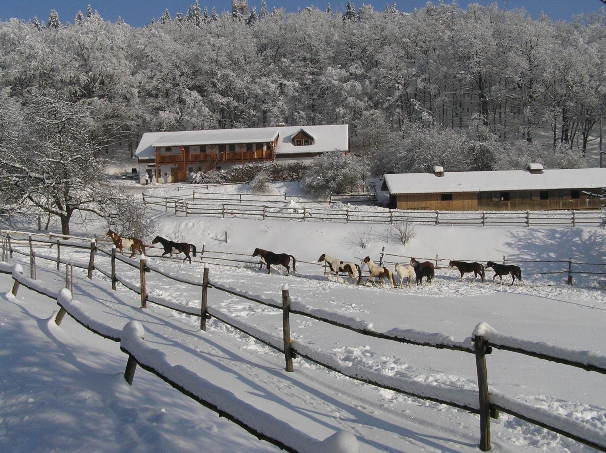 Penzion U Strakatého Koně Blansko Exterior foto